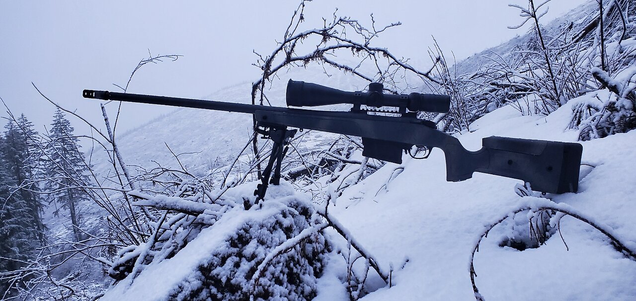 Bergara Wilderness HMR, 300win