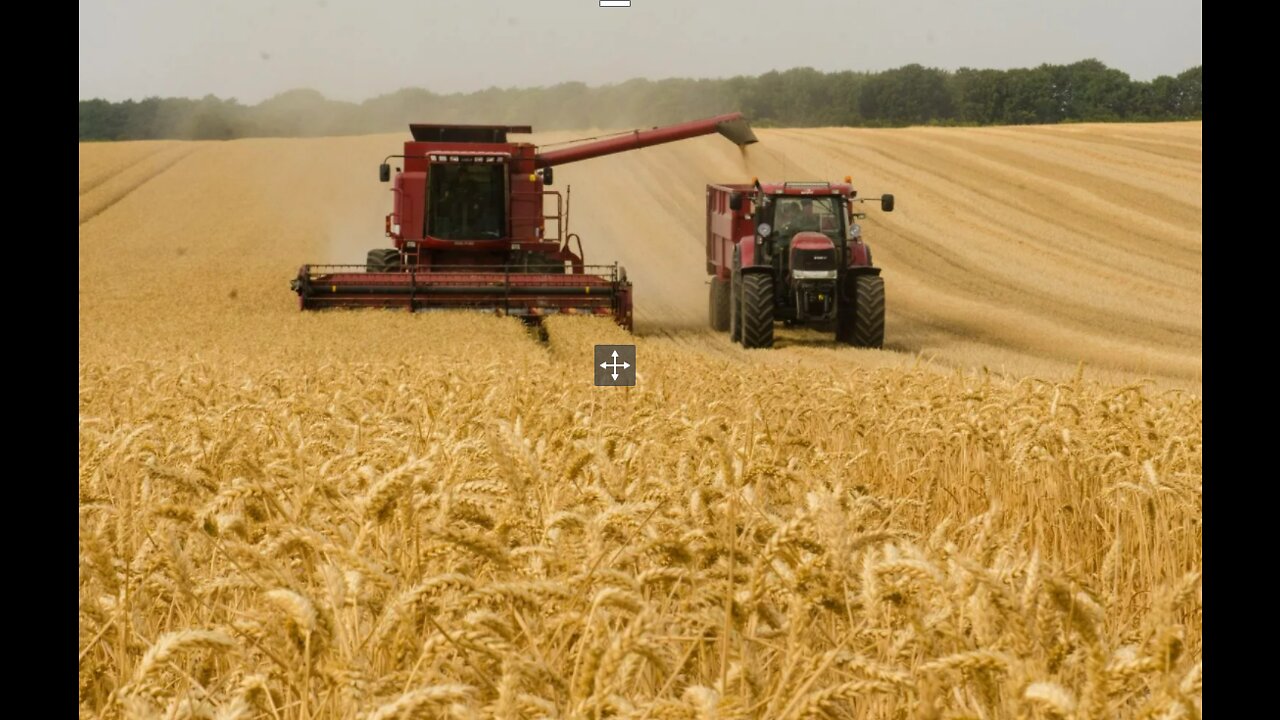 Russia-Ukraine Conflict May Undermine Global Food Security, Provoke Sky-High Food Prices