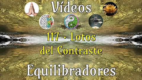 117 · Lotos del Contraste📹Videos Equilibradores☯️🎧♥️🕉️Atencion👁️Concentracion🎯Meditacion🧘‍♂️