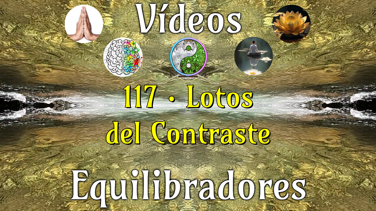 117 · Lotos del Contraste📹Videos Equilibradores☯️🎧♥️🕉️Atencion👁️Concentracion🎯Meditacion🧘‍♂️