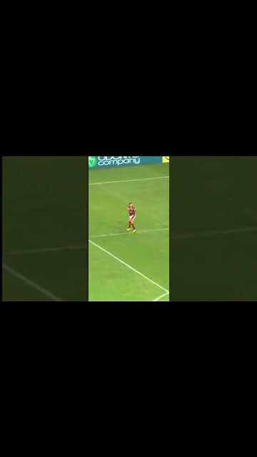 RAIVA E AMOR ENTRE DIEGO E A TORCIDA DO FLAMENGO