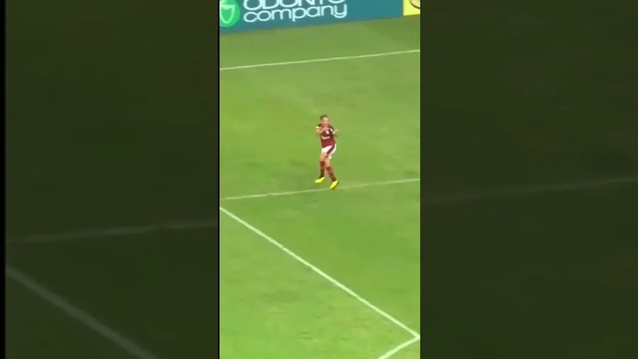 RAIVA E AMOR ENTRE DIEGO E A TORCIDA DO FLAMENGO