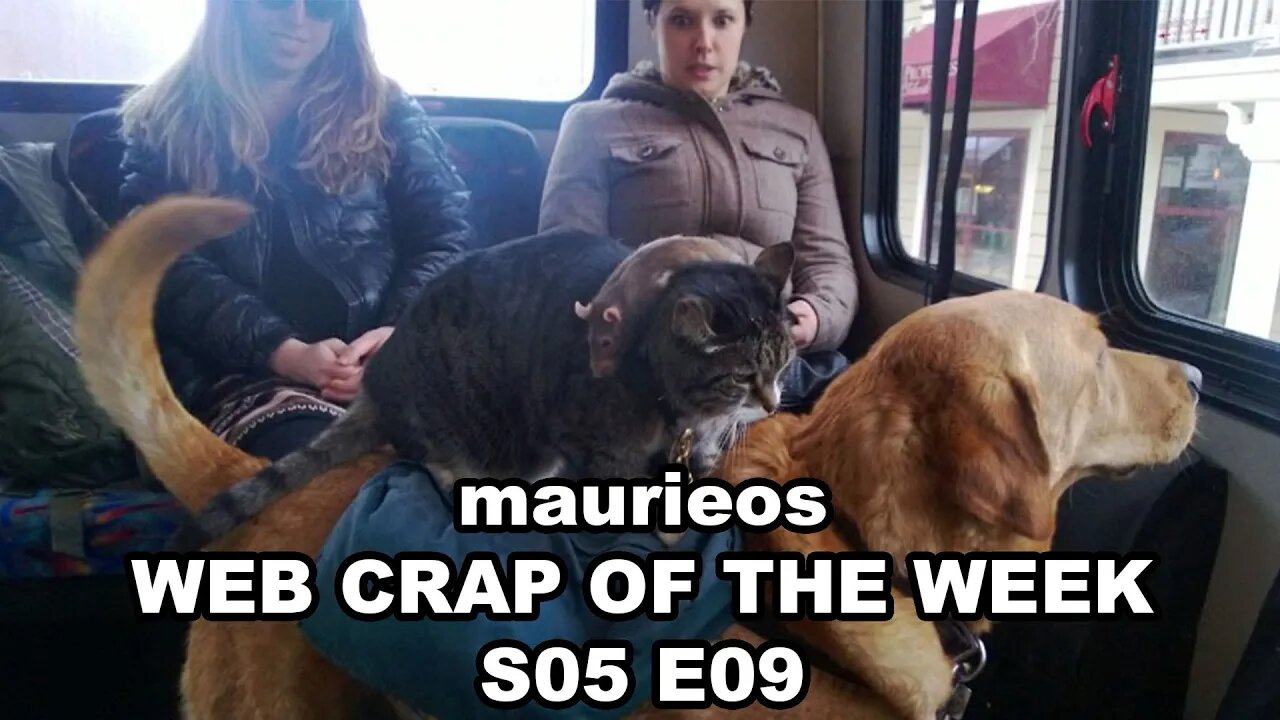 maurieos WEB CRAP OF THE WEEK S05 E09