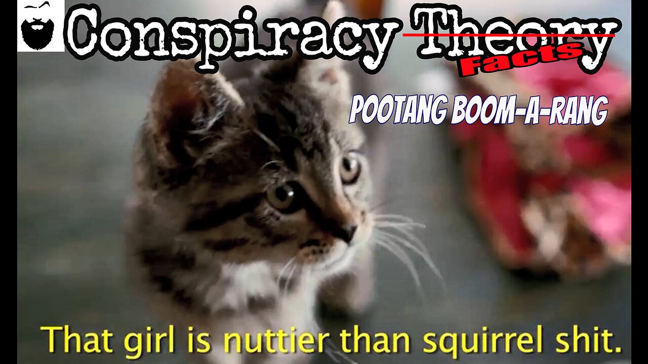 PooTang Boom-a-Rang