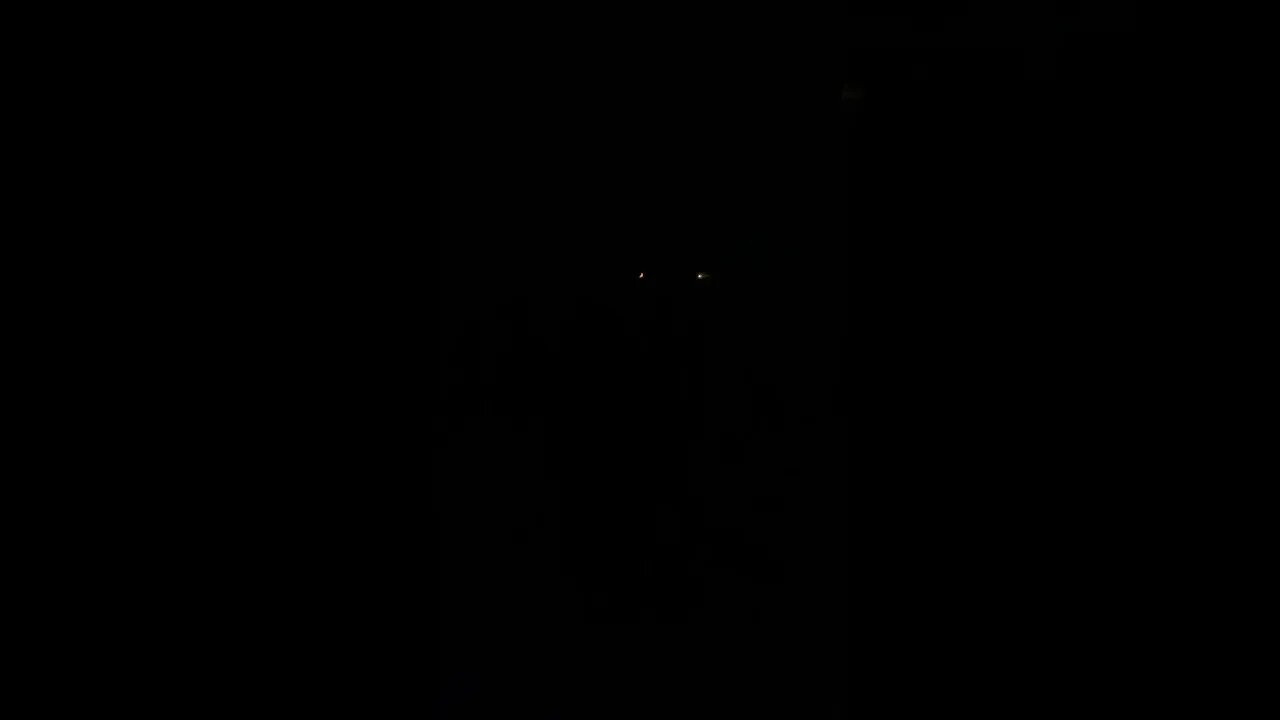 Night ops for chickens killers