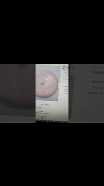 1982 Penny Sold on eBay for How Much? #coins #penny