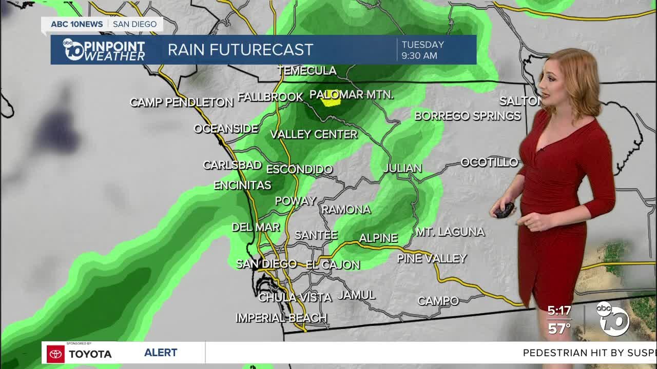 ABC 10News Pinpoint Weather with Meteorologist Leah Pezzetti