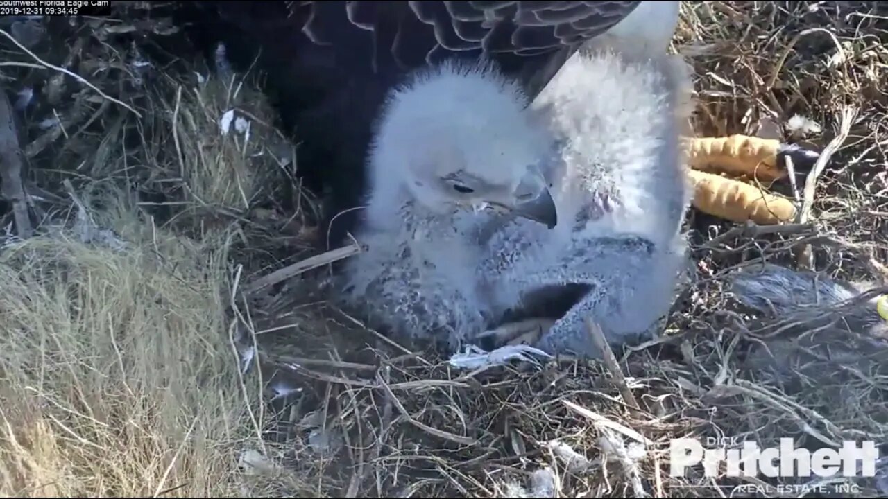 Happy New Year Harriet, M, and E-14. 1-1-20