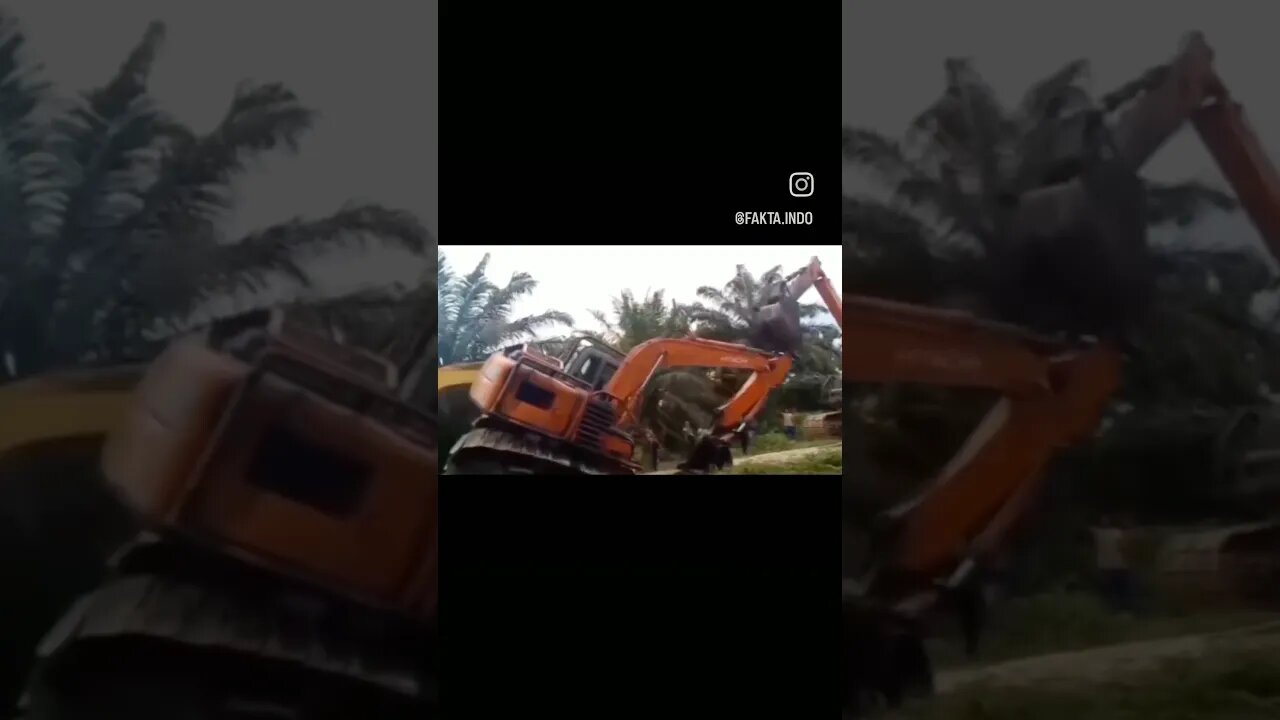 Fighting Excavator #viral #shorts