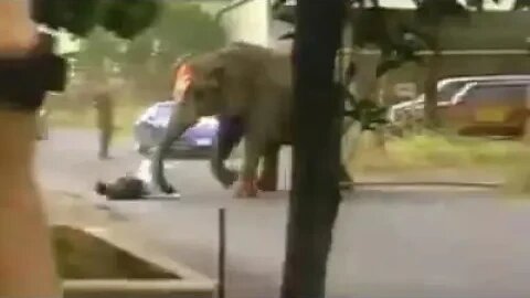 she never performed again