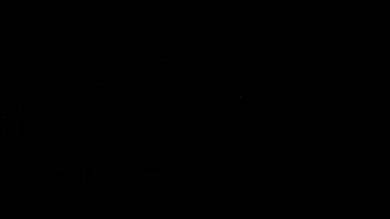 Mike Parks- 2023 June 11th