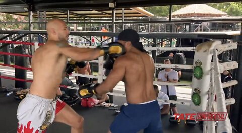 ANDREW TATE GETS BACK IN THE RING