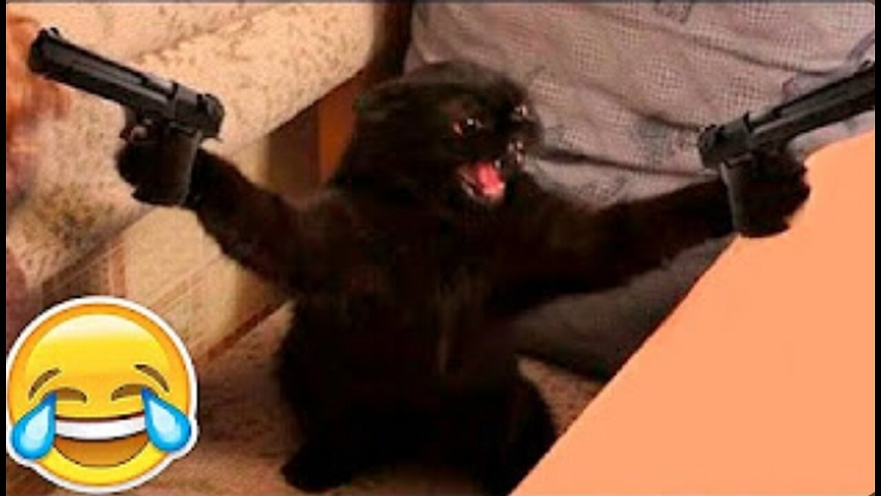 New Funny Animals 😂 Funniest Cats and Dogs Videos 😺🐶