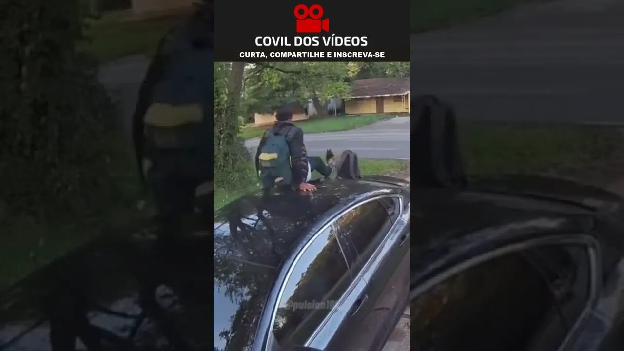 homem sobe em cima de um carro pra não ser mordido