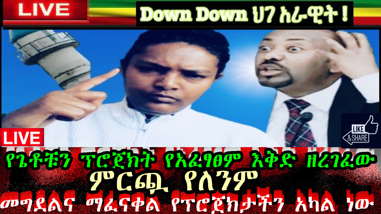 ዘንዶው የጌቶቹን ፕሮጀክት የአፈፃፀም እቅድ ዘረገፈው