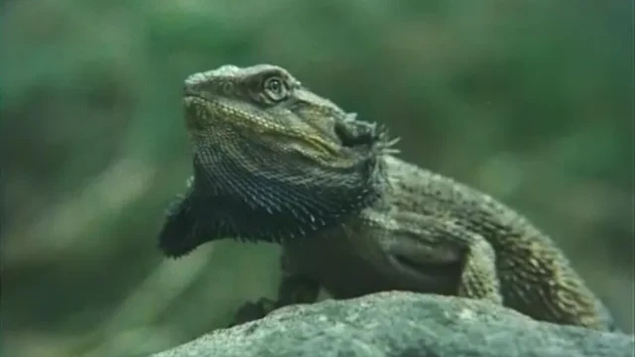 Mazatec, Eloxochitlán GENESIS 1.1-2.3