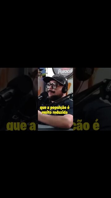 Pra gerar emprego e renda tem que trazer empresas.