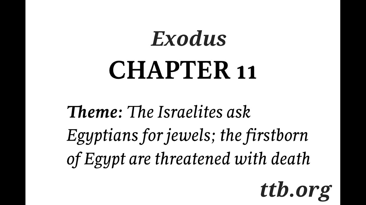 Exodus Chapter 11 (Bible Study)