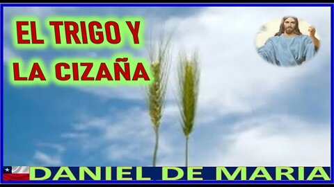 EL TRIGO Y LA CIZAÑA - MENSAJE DE JESUCRISTO REY A DANIEL DE MARIA 24JUL22