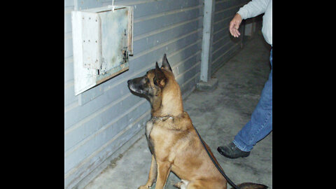 Vom Kaiserhofe Dog Training Seminars
