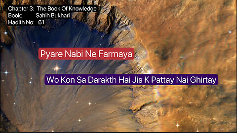 ❤️ Pyare Nabi Ne Farmaya, Wo Kon Sa Darakth Hai Jis K Pattay Nai Ghirtay, Hadees 61❤️5 October 2023