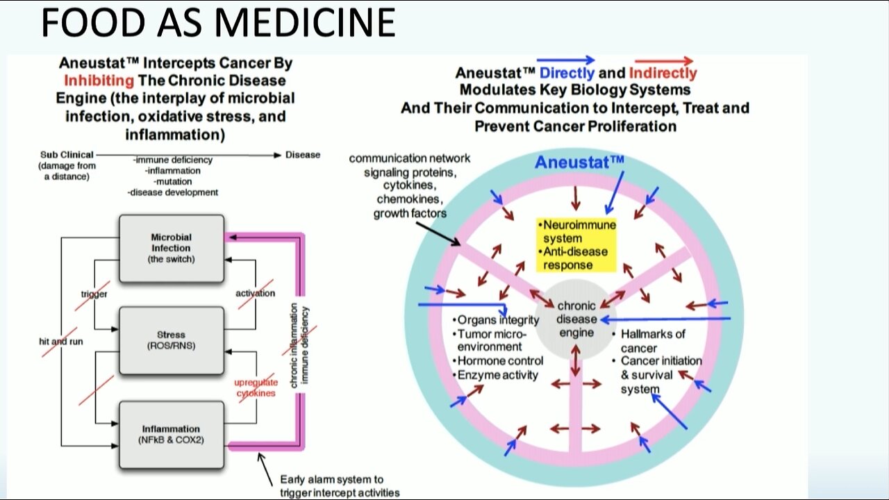 Dr. Judy Mikovits | "Food Is Medicine"