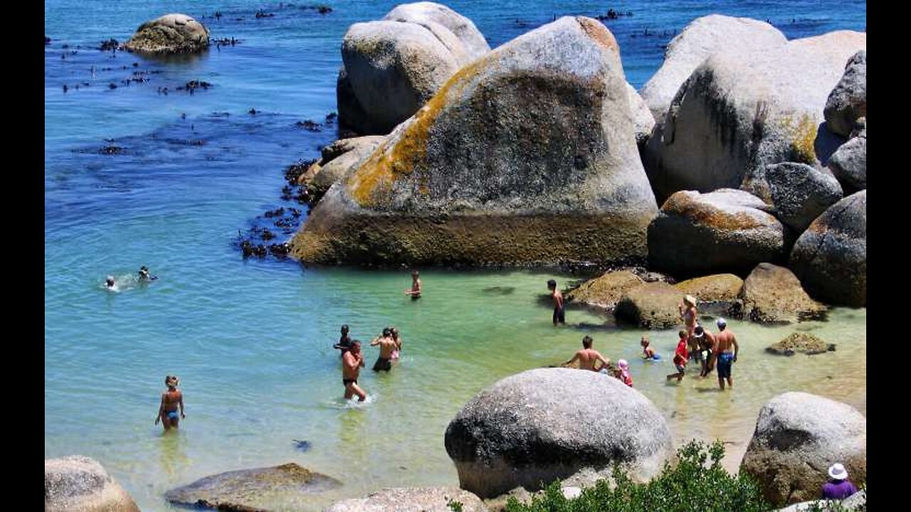 Boulders Beach (Penguin Beach)| Cape Town| South Africa