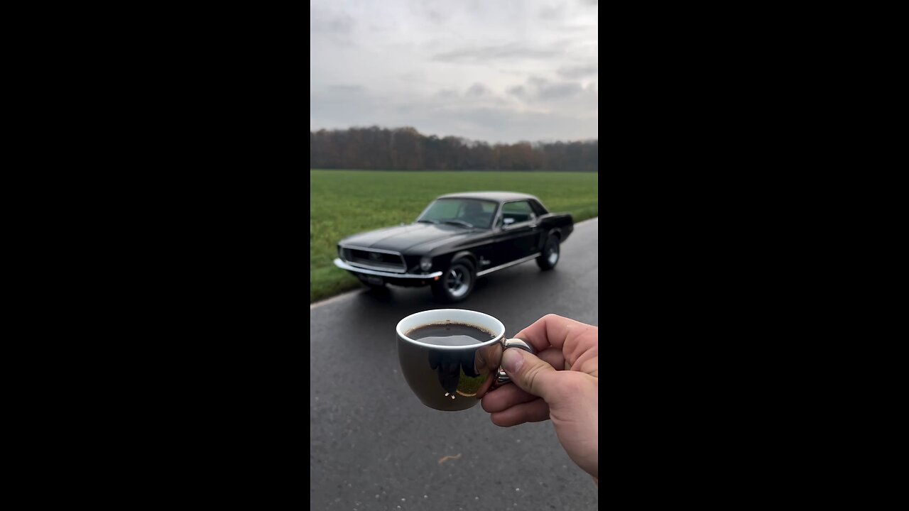 chai with Mustang ✨