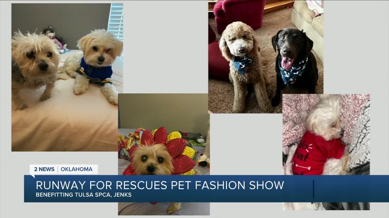 Runway for Rescues Pet Fashion Show