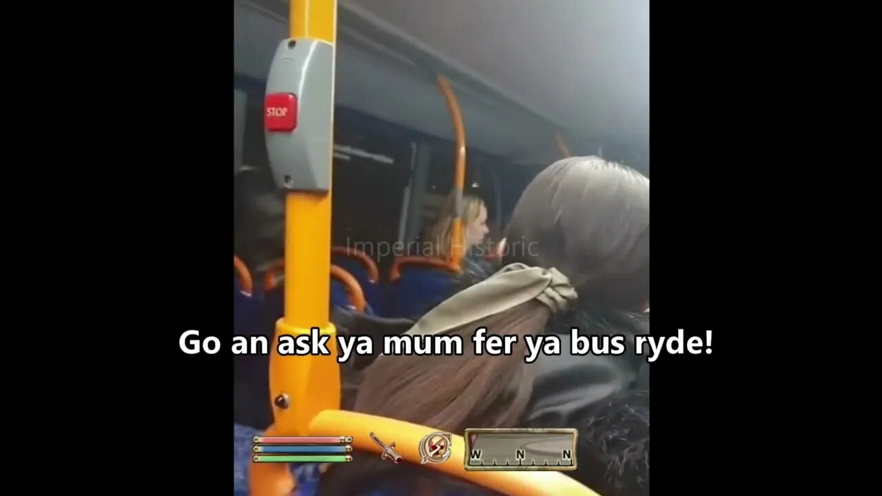 Breton Skooma Addict Bus Meltdown - Oblivion NPC