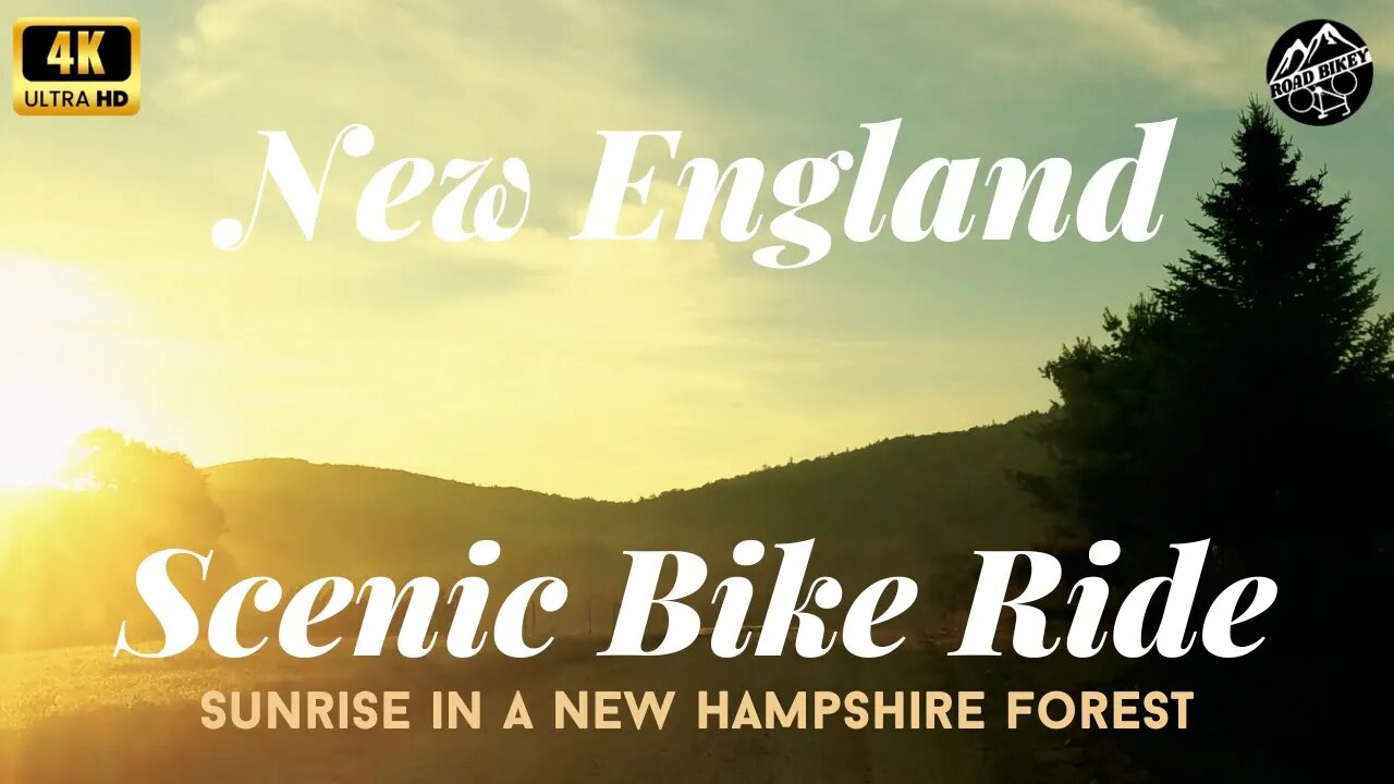 Sunrise White Mountains Forest Bike Ride - 4K Scenic Gravel Climb Through the Woods at Dawn