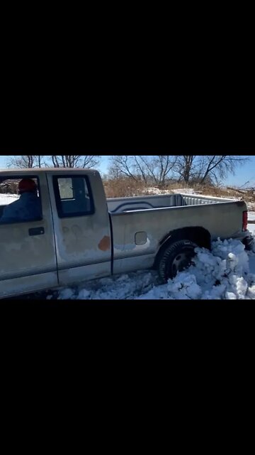 Tim getting that dekota stuck #shorts