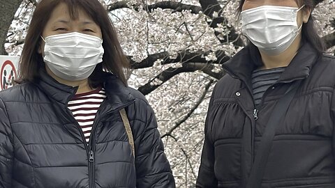 羽村市^_^🌸さくら2023 part 2