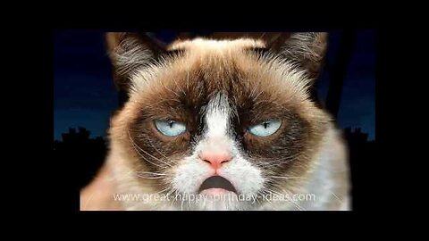 GRUMPY CAT HAPPY BIRTHDAY SONG (TOO FUNNY)