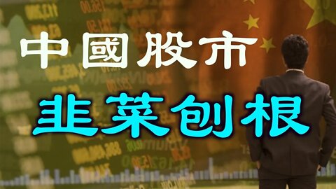 揭秘中國股市的秘技，中國股市改變了我的命運,分享最中肯的建議。