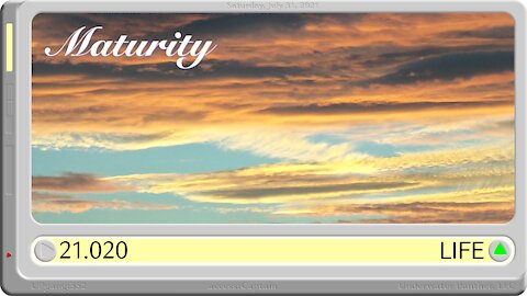 LOG Entry 21.020 Maturity