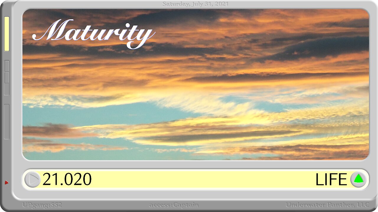 LOG Entry 21.020 Maturity