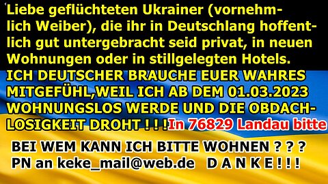 Dieses Mal benötige ich vollen Support von (ukrainischen) Flüchtlingen bei meiner Unterkunft