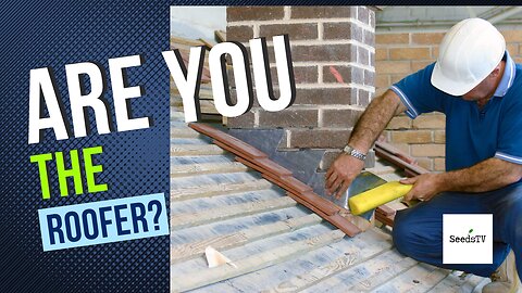 Are you the Roofer or the Nail Gun?