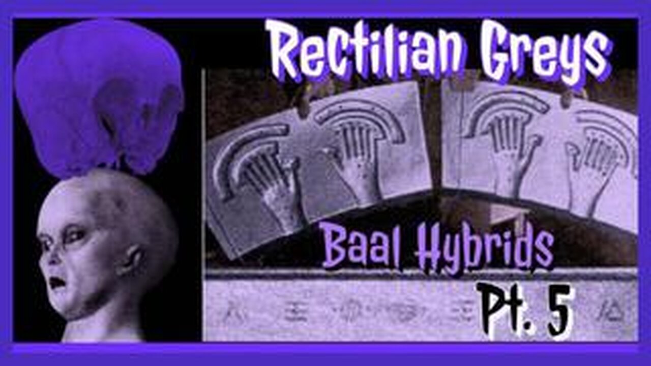 BAAL HYBRIDS Pt 4- RECTILIAN GREYS