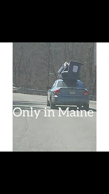 Only in Maine? Couch transportation