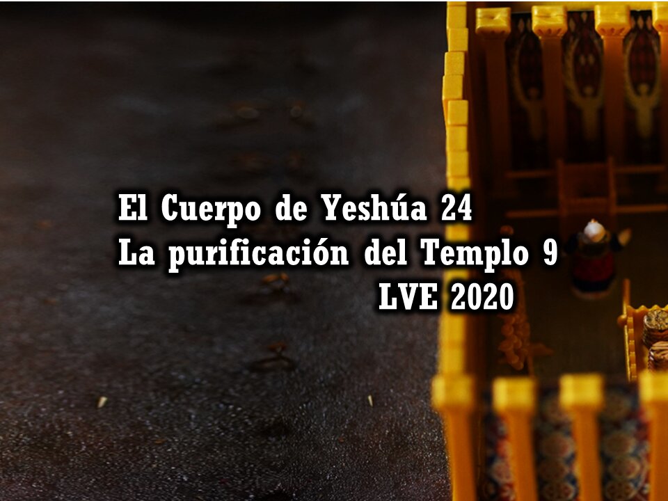 El Cuerpo de Yeshúa 24 - La purificación del Templo 9