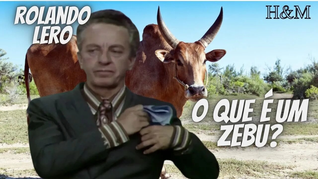 ROLANDO LERO | O QUE É UM ZEBU?