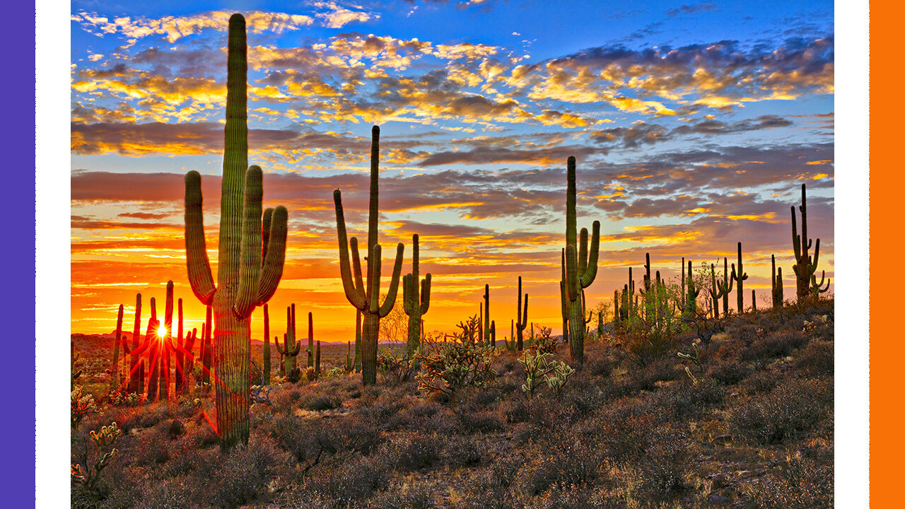 Arizona Creates An Election Ministry of Truth