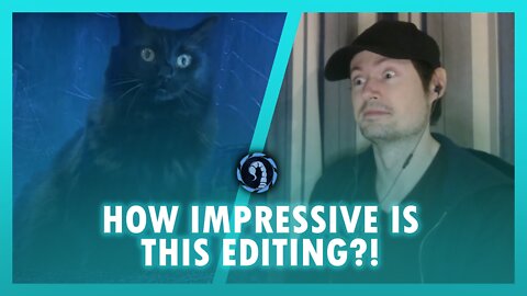 Owl Kitty's Jurassic Park But With A Cat - Reaction - Scorpio Shadow