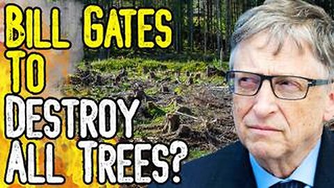 WTF? Bill Gates Wants To Destroy All Trees In The Name Of Climate Change? - This Is Insanity!