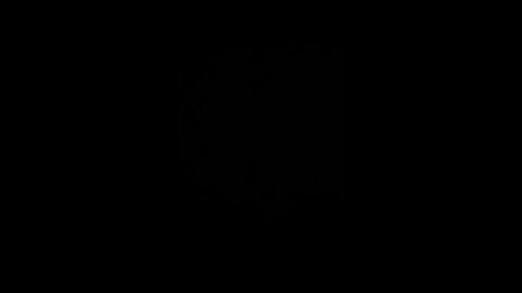 Corrupt voting machines