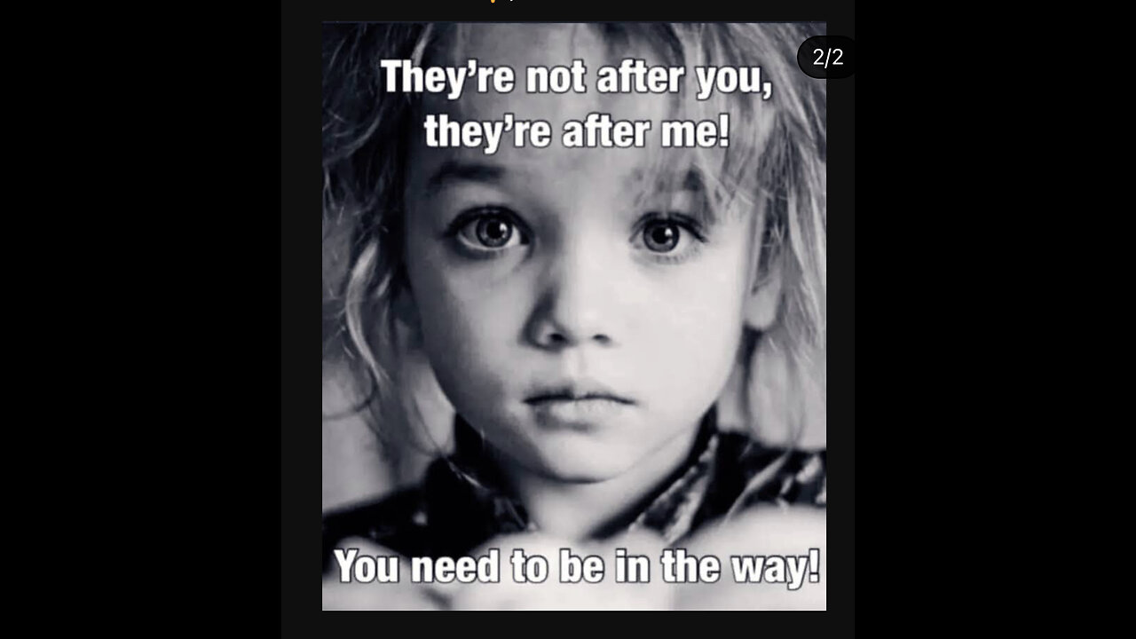 MAUI Lahaina/“tHE mISSING sKOOLEYS”