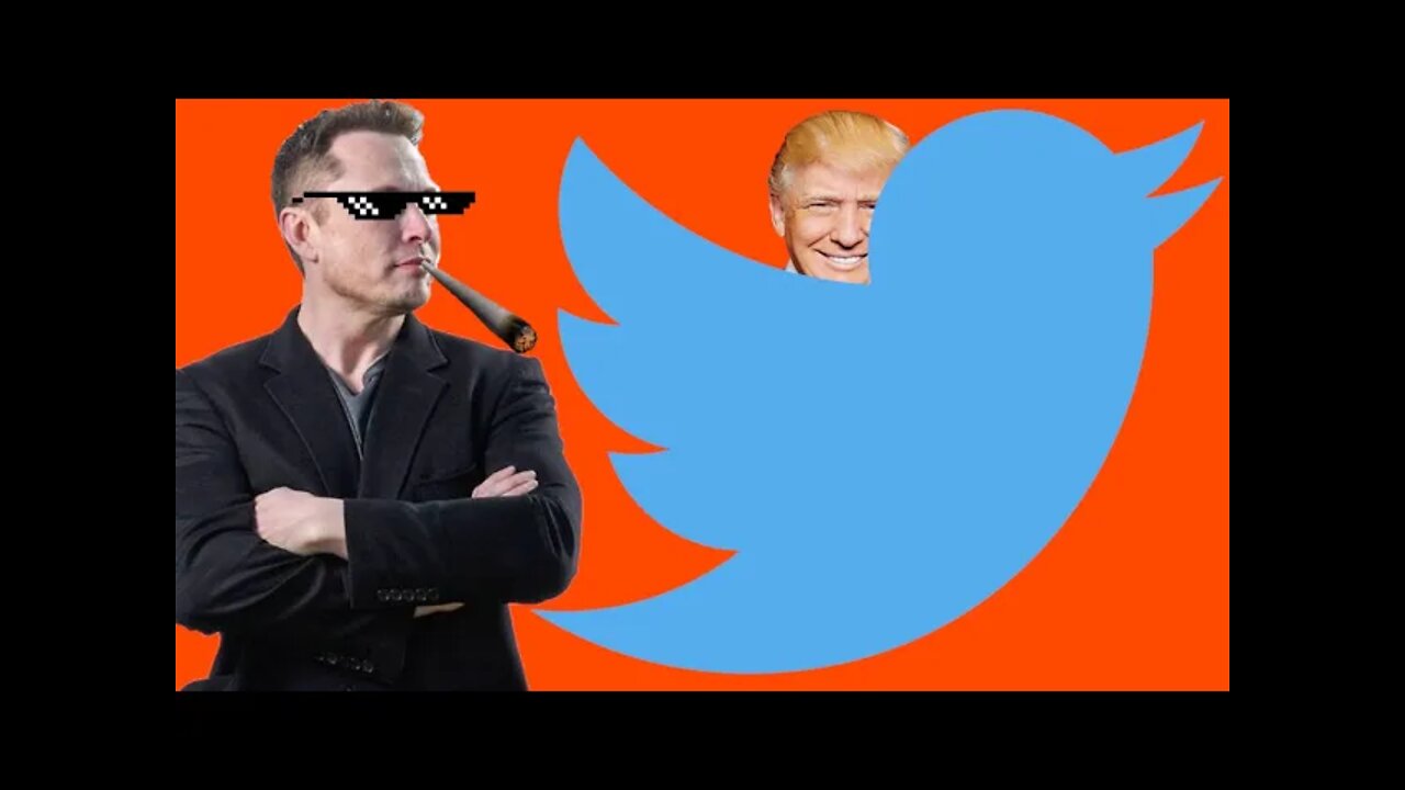 Elon Musk Just BOUGHT Twitter. We Won