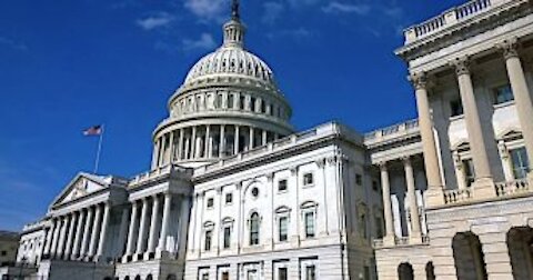 Congressmen! We have 'Real, Genuine Evidence of All Kinds of Election Fraud'